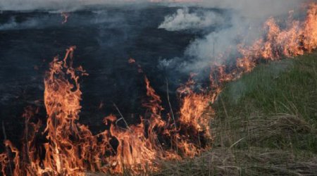 Rusiyada meşə yanğını 19 min 280 hektara yayıldı