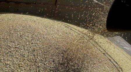 Bu ölkə Rusiyadan 500 min ton buğda alacaq