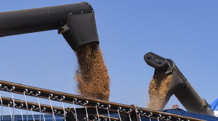 Taxıl ixracı yoxsul ölkələrə nəzərdə tutulduğu kimi çatmır- PUTİN