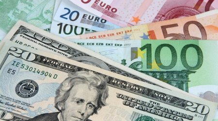 Dollar rate falls against euro