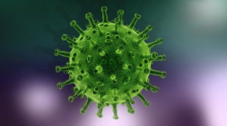 Koronavirusun yeni ştamlarının yaranması gözlənilir - ÜST