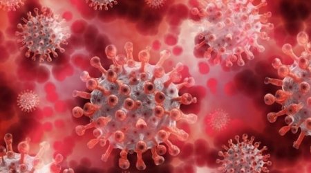 Meymunçiçəyi bu ölkəyə də çatdı