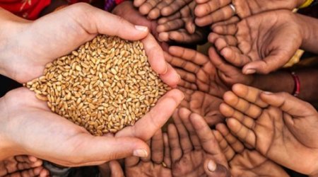 Ukraynadakı müharibəyə görə 70 milyon insan ac qalacaq