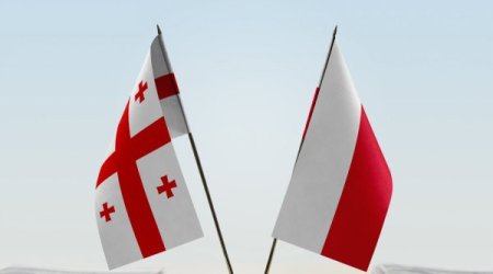 Gürcüstan və Polşa birgə PUA istehsal edəcək