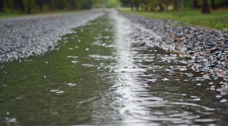 Rainy and windy weather expected tomorrow