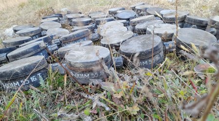 452 mines buried by Armenians in Dashkasan neutralized