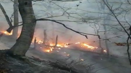 Azərbaycana 16 milyard manatdan çox ekoloji ziyan vurub