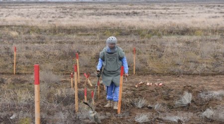 Another 146 mines found in liberated territories of Azerbaijan