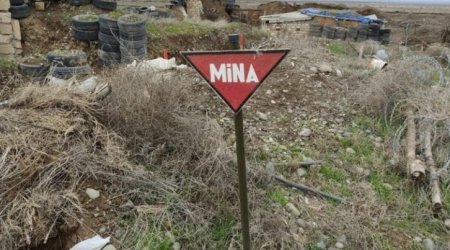 Another 144 mines found in liberated territories of Azerbaijan