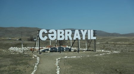 Cəbrayıl rayonu ərazisinə 18 ceyran buraxılıb