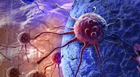 Xərçəng xəstəliyini sağaldan gel hazırlandı