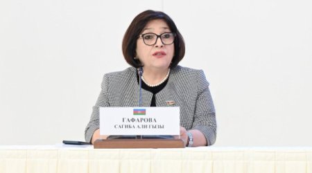 Sahibə Qafarova MDB PA-nın mətbuat konfransına qatılıb