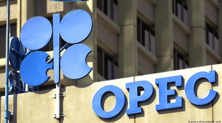 OPEC 2045-ci ilə kimi neftə olan tələbatı açıqlayıb