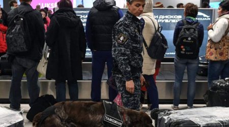 Moskva hava limanlarında maksimum terror təhlükəsi elan edildi