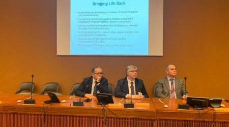 Ermənistanın Azərbaycan ərazilərini minalaması məsələsi Cenevrədə müzakirə olunub