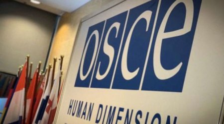 Делегация Украины заявила о бойкоте Парламентской ассамблеи ОБСЕ