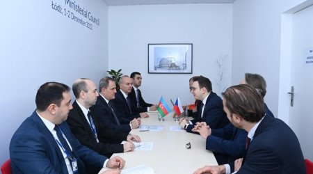 Azerbaijani, Czech FMs hold meeting