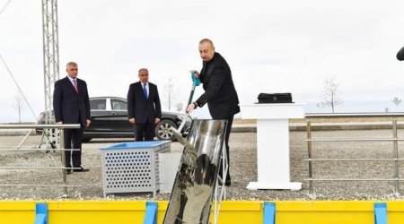В агропарке 