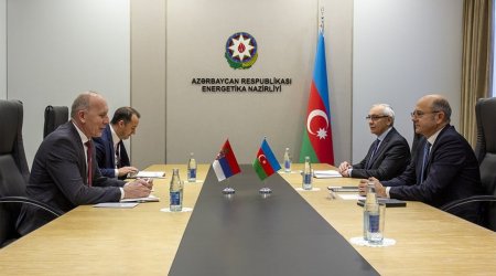 Azerbaijan, Serbia mull prospects of energy cooperation