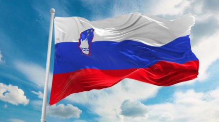Словения собирается стать членом Совета ООН по правам человека