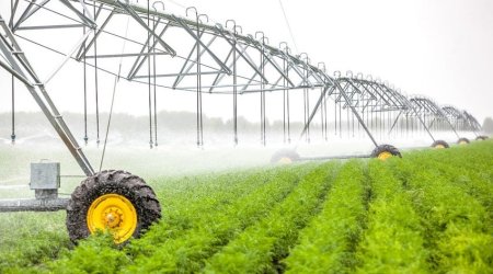 Azerbaijan's agrarian sector grows by over 3%