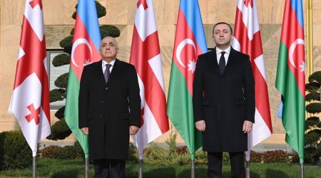 Али Асадов встретился в Тбилиси с Ираклием Гарибашвили