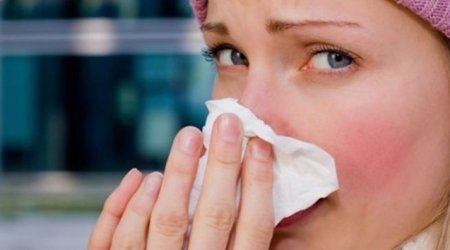 Rusiyanın 86 regionunda donuz qripi virusu aşkarlanıb