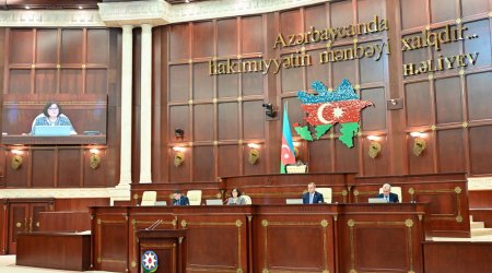 Milli Məclisin iclası başladı