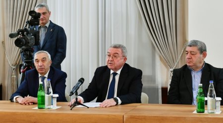 Misir Mərdanov Prezidentlə görüşdən danışdı - Gələn il üçün hədəfləri açıqladı