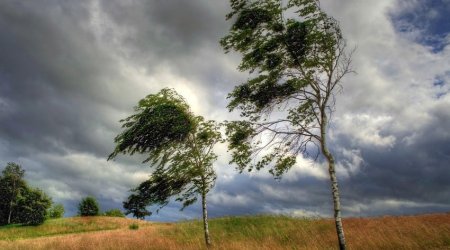 Strong wind expected tomorrow – WARNING 