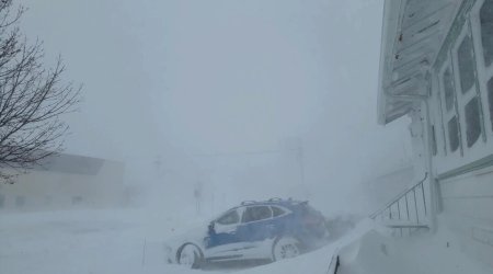 Nyu York ştatında havanın istiləşməsi ilə daha çox cəsəd aşkar edilib