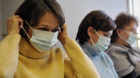 Ermənistan və Rusiyada donuz qripi yenidən yayılıb