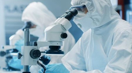 Koronavirusla bağlı SON STATİSTİKA