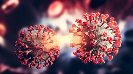 Omikronun XBB.1.5 variantına yoluxanların sayı  getdikcə artır - ÜST