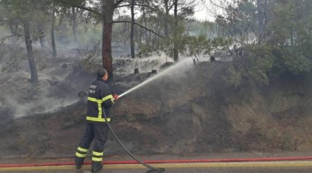 Türkiyədə meşə YANIB