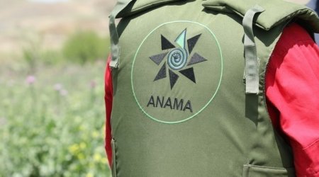 Prezident Minatəmizləmə Agentliyi ilə bağlı fərman imzaladı