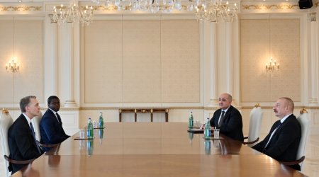 İlham Əliyev şirkət rəhbərini qəbul etdi