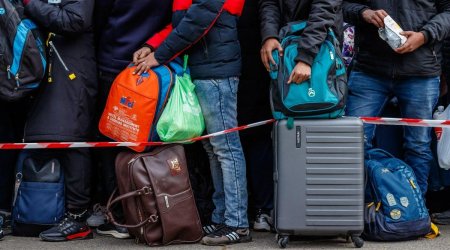 Litvada olan ukraynalı qaçqınların 80%-i iş yerini dəyişmək istəyir - RƏSMİ