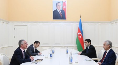 Azerbaijani Deputy PM meets with UK Ambassador