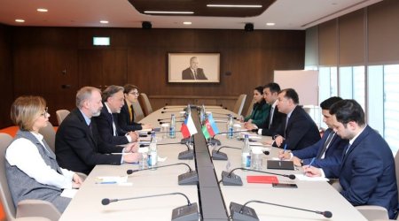 Czech Republic wants to expand cooperation with Azerbaijan in automobile and food industries