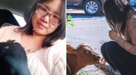 Moskvada Qırmızı meydanda buzovla gəzən ABŞ vətəndaşı saxlanılıb