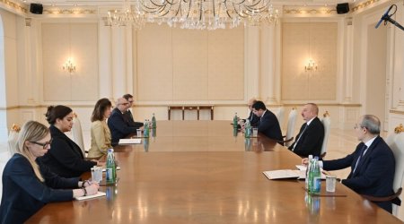 Prezident Laura Loxmanı qəbul edib - YENİLƏNİB 