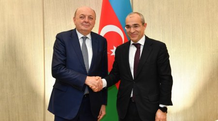 İşğaldan azad edilmiş ərazilərdə İtaliya şirkətlərinin fəaliyyəti müzakirə edilib