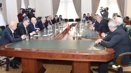 Türkiyəli deputatlar Qərbi Azərbaycan İcmasında