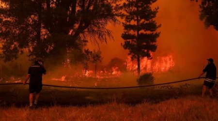 Çilidə meşə yanğınları nəticəsində azı 23 nəfər ölüb