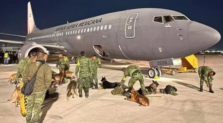Meksika axtarış-xilasetmə itlərini Türkiyəyə göndərir