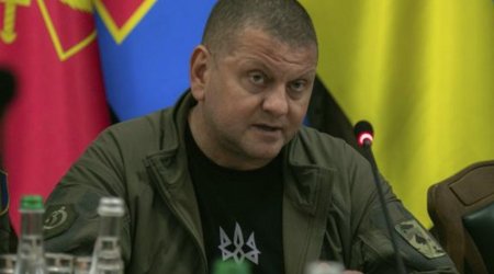 Залужный пообещал, что украинская армия освободит Мариуполь в этом году