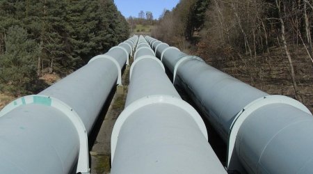 В Польше сообщили о прекращении поставок российской нефти по трубопроводу 