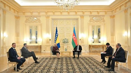 Əliyev Jelka Tsviyanoviç ilə görüşüb - Yenilənib