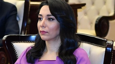 Səbinə Əliyevə xarici ölkələrin Ombudsmanlarına müraciət etdi